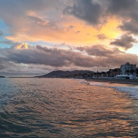 B&B Polline & Conchiglie Ceriale Dış mekan fotoğraf