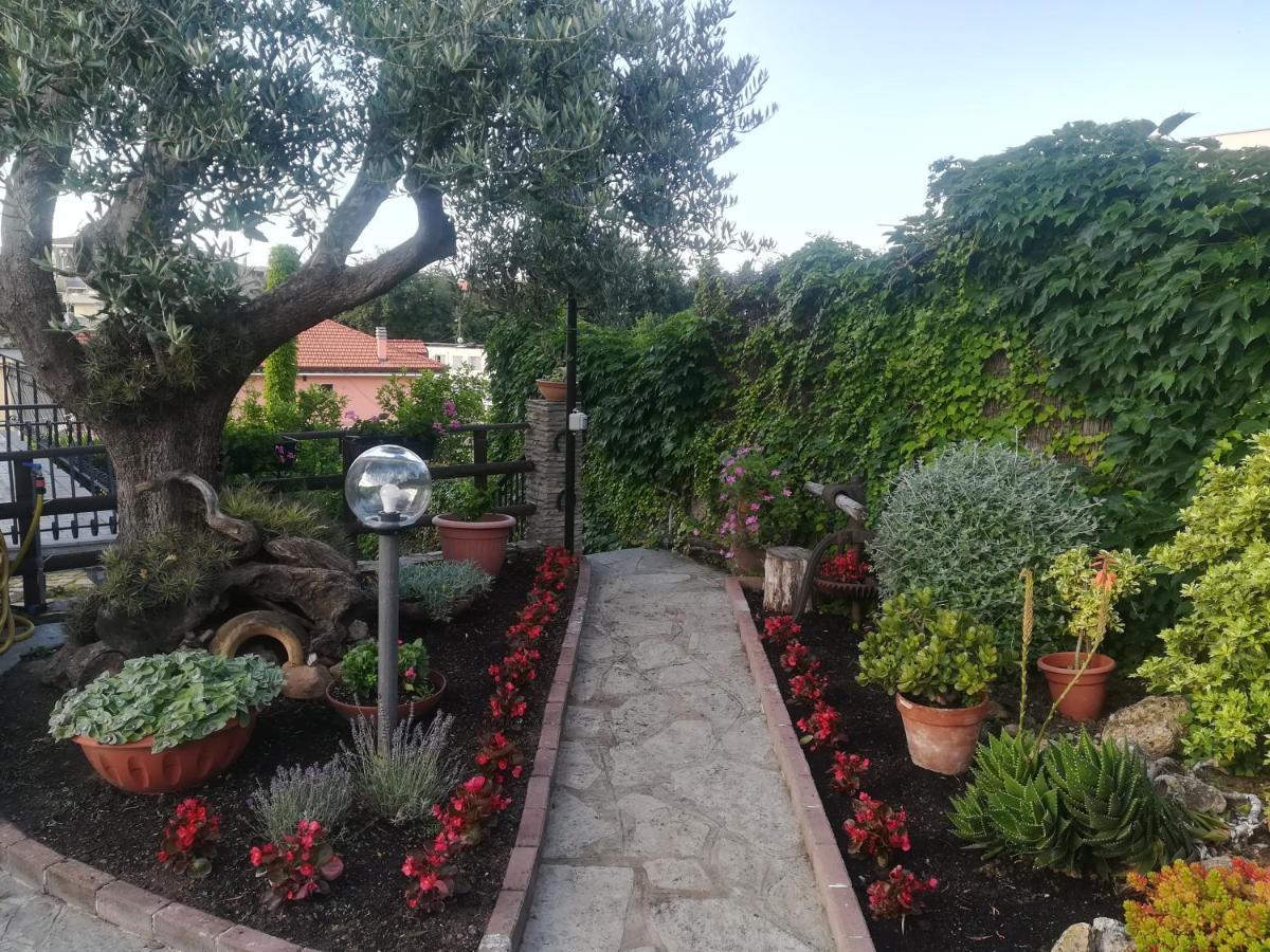 B&B Polline & Conchiglie Ceriale Dış mekan fotoğraf